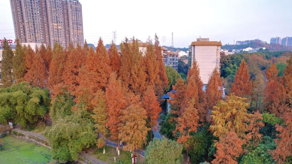 2026世界杯中文网站风景