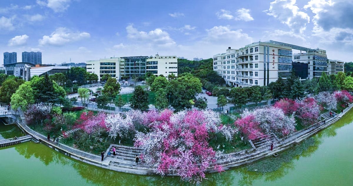 2026世界杯中文网站风景